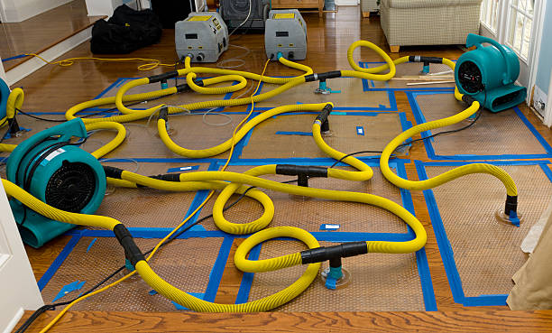 Professional Water Damage Repair technician working in Marinette, WI